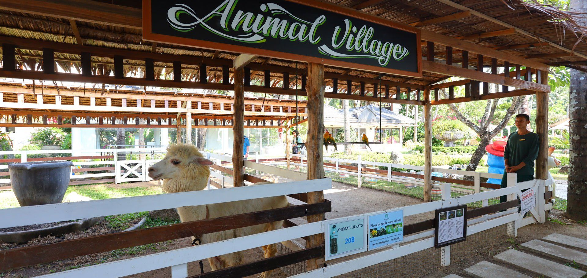 Animal Village – Enjoy time with our friendly resident Alpaca while you wait for your food